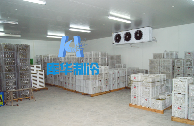 200平方水果保鮮冷庫(kù)設(shè)計(jì)方案