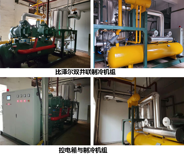 速凍冷庫(kù)制冷機(jī)組與控制系統(tǒng)