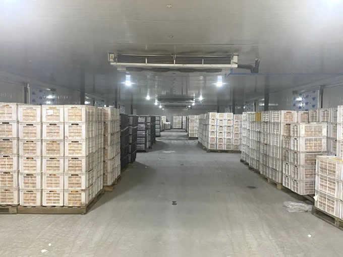 氣調(diào)庫(kù)的特點(diǎn)及優(yōu)點(diǎn)有哪些？