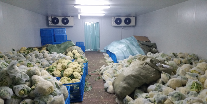 果蔬保鮮冷庫工程