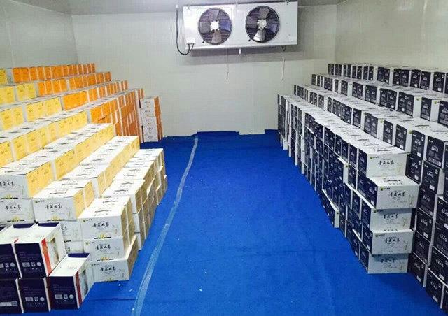 杭州保鮮冷庫建造