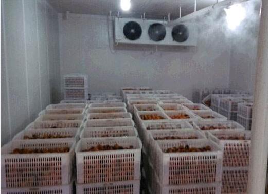 小型水果保鮮冷庫