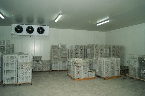 密之源果業(yè)氣調(diào)冷庫