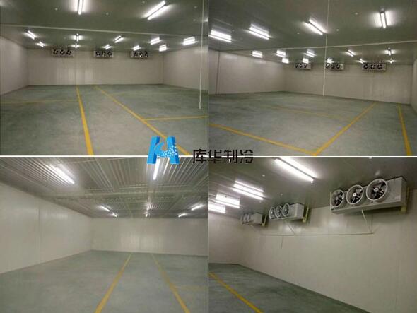 新安實(shí)業(yè)果蔬保鮮冷庫建造工程