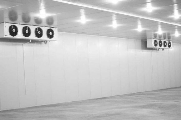 葡萄冷庫儲存保鮮的溫度是多少比較好？