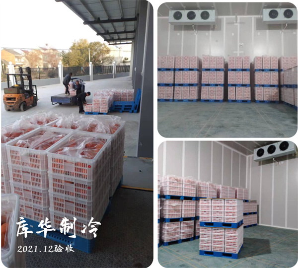 大型氣調(diào)冷庫(kù)施工建造注意事項(xiàng)