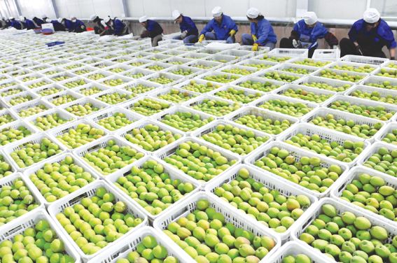 農(nóng)產(chǎn)品冷庫建造設(shè)計(jì)方案及造價(jià)