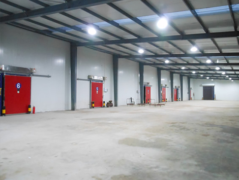 600噸肉類速凍庫