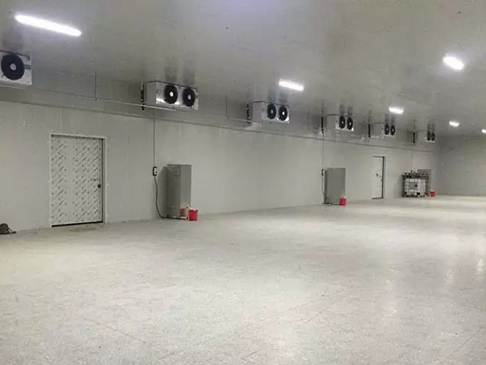 建造3000噸保鮮冷庫(kù)大概需要多少錢