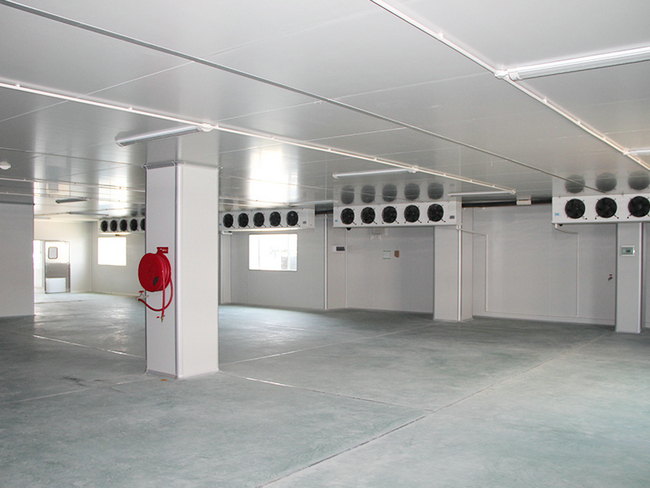 廠房倉(cāng)庫(kù)可以改造成水果保鮮冷庫(kù)嗎