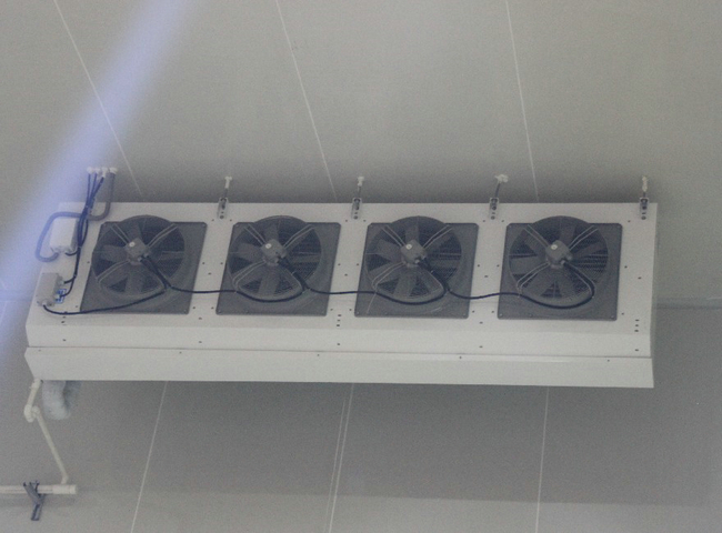 溫州建造一個(gè)冷庫(kù)要花費(fèi)多少錢(qián)