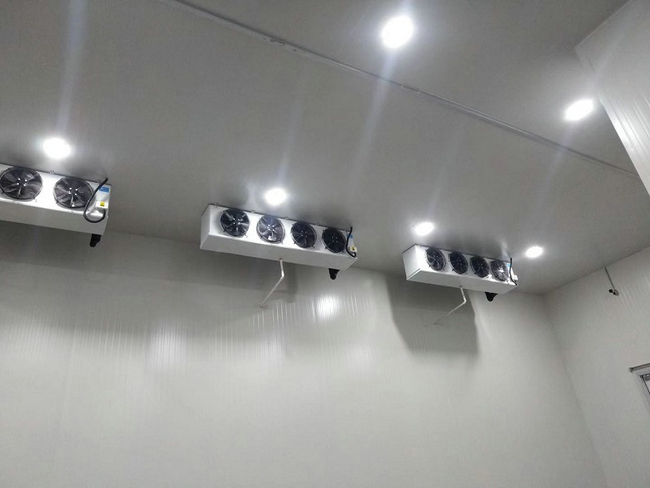 陰涼恒溫冷庫(kù)設(shè)計(jì)建造溫度要求