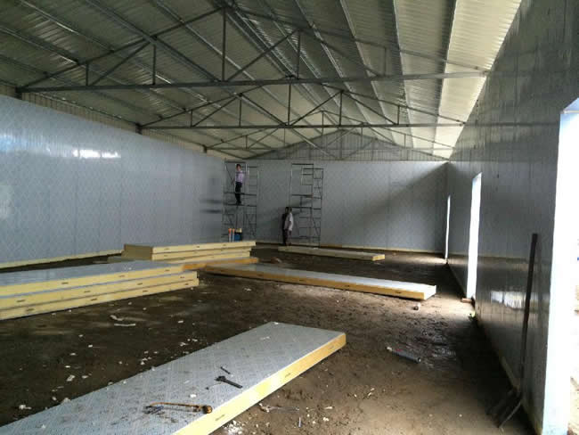 新鮮玉米冷庫(kù)溫度 如何用冷庫(kù)保存新鮮玉米