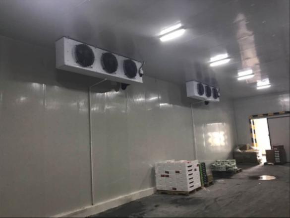 溫州低溫冷庫造價多少錢一平方？