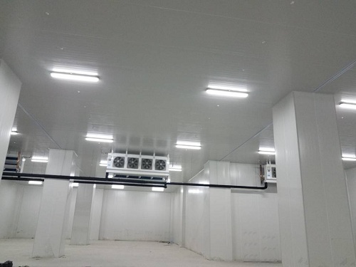 冷庫(kù)設(shè)計(jì)規(guī)劃的重要性分析