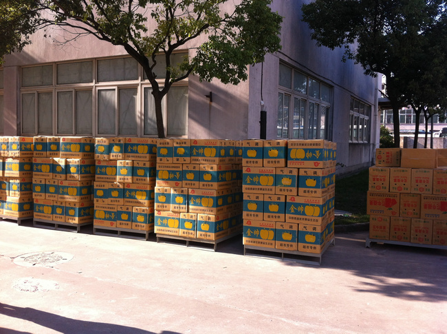 蘋果保鮮冷庫的設(shè)備要求和造價計算