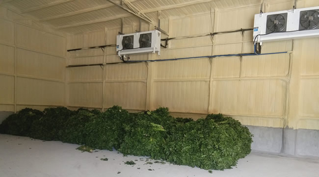 大型果蔬冷庫冷卻降溫的方式是什么