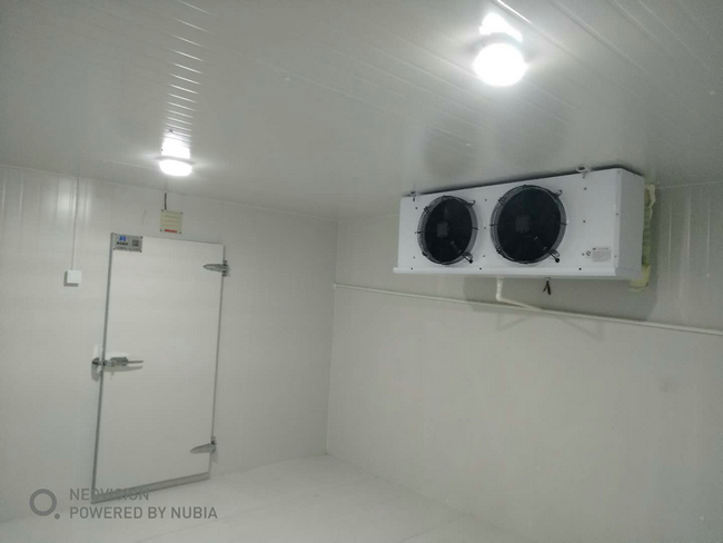 杭州蔬菜水果冷庫建造 保鮮冷庫出入庫流程