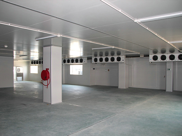 建造一個(gè)100平方肉類冷庫要多少錢？