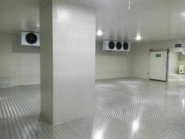 金華建造100平方豬肉火腿冷庫需要多少錢