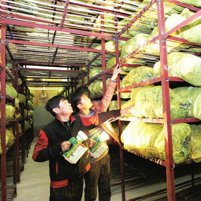 如何讓冷庫(kù)儲(chǔ)存的反季節(jié)瓜果蔬菜利潤(rùn)高