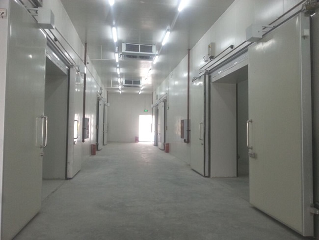 建造一個工業(yè)冷庫成本費用大概多少？