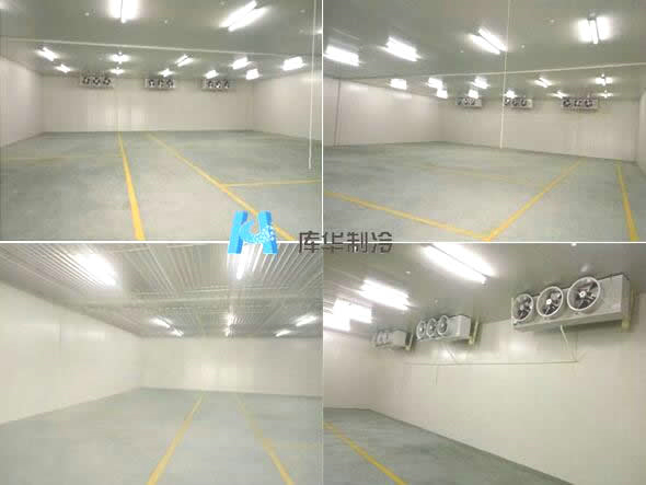 浙江建造600立方肉類冷凍庫安裝大概多少錢？