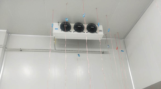 建造個芒果冷庫價格要多少錢？