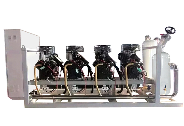 美國(guó)艾默生低溫活塞并聯(lián)機(jī)組