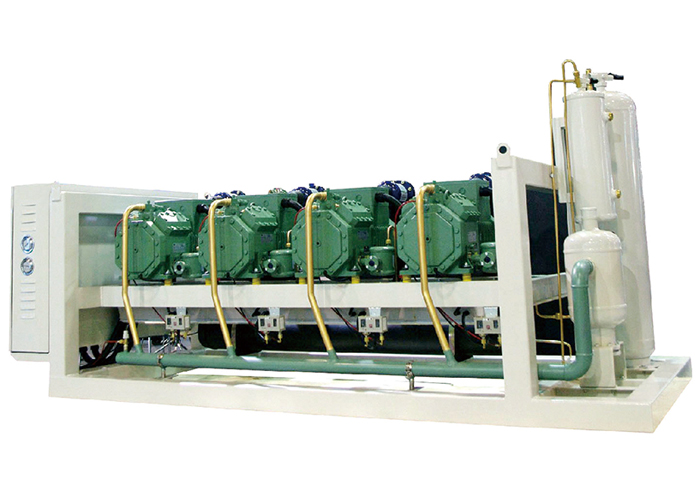 德國(guó)比澤爾中高溫活塞并聯(lián)機(jī)組