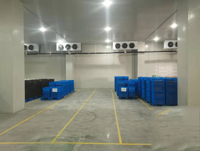 金華建一個水果冷庫需要多少錢？