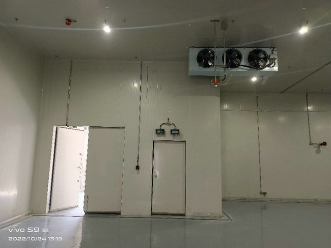 湖州建30噸蔬菜保鮮庫造價要多少錢?