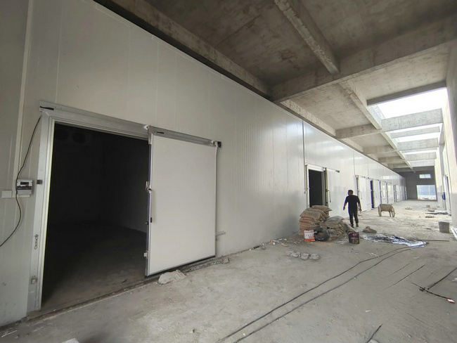 建一個萬噸果蔬保鮮庫需要投資多少錢？